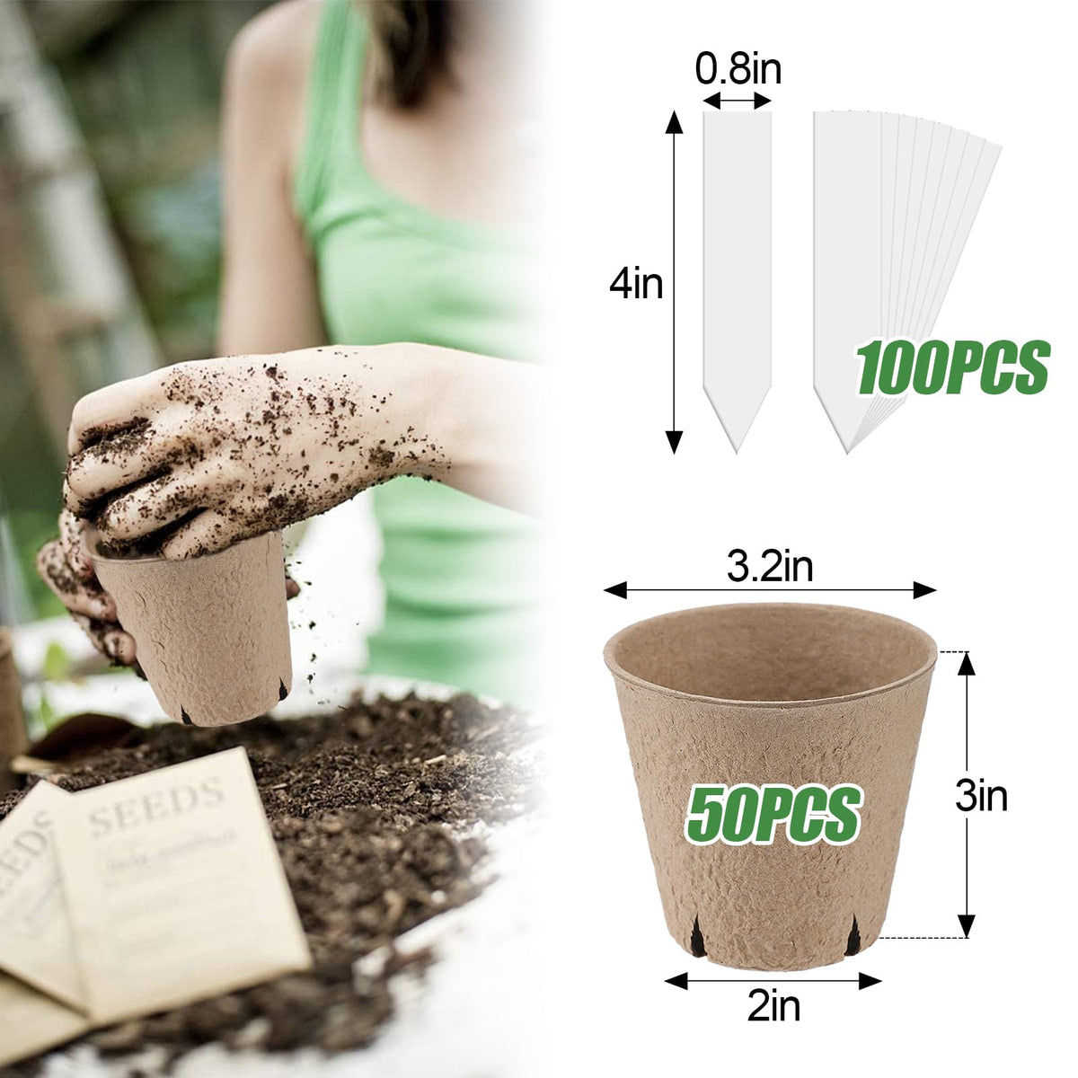 Cosweet root-friendly design eases transplant without stressing roots
