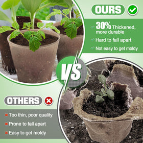 Cosweet seedling starters kit with 100 markers for organized germination labeling