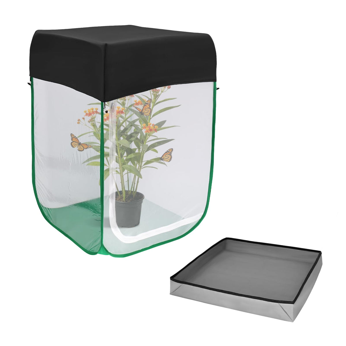 Cover Geny butterfly habitat 24x24x36 for easy maintenance and close-up caterpillar viewing.