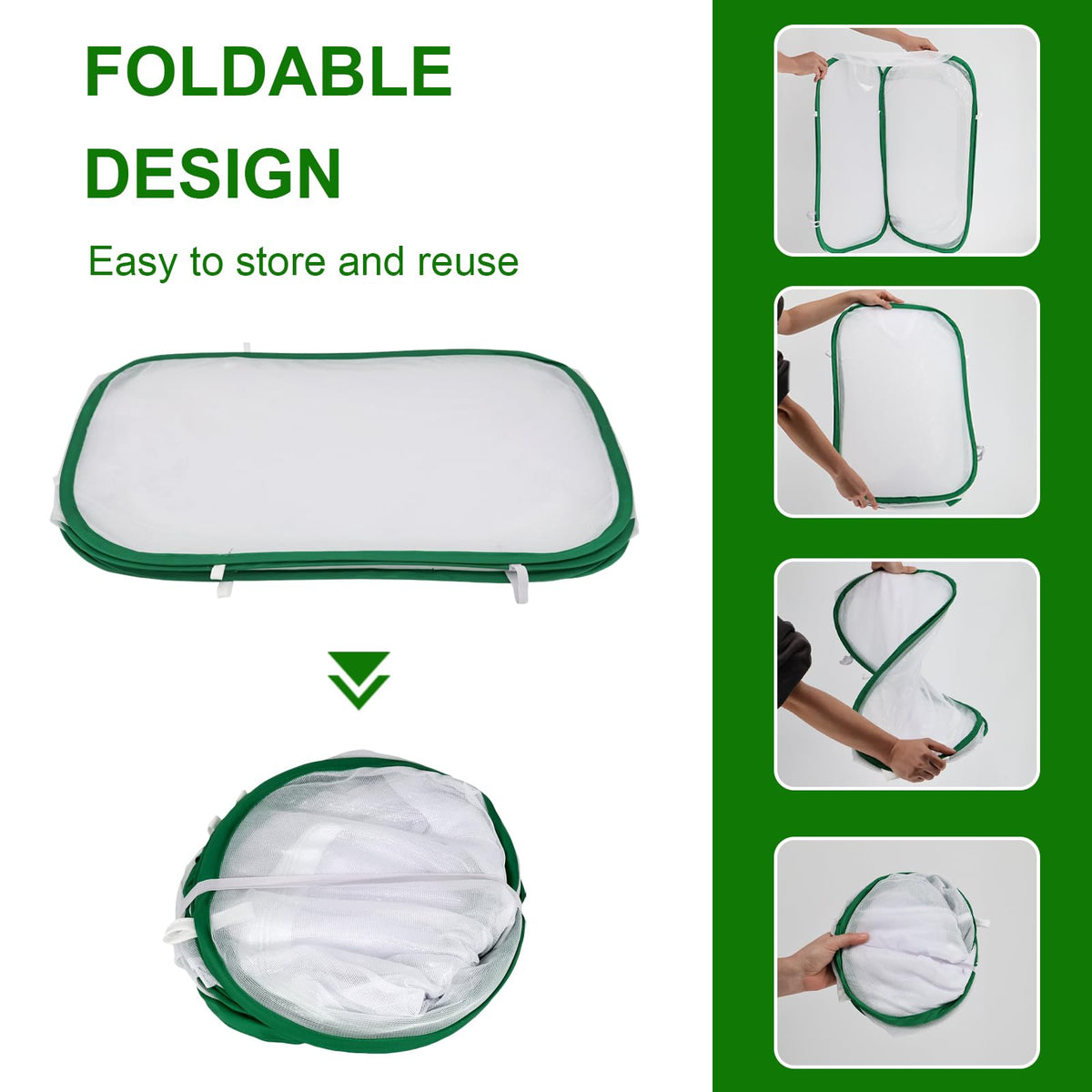 Cover Geny butterfly cage clear window offers close-up metamorphosis view