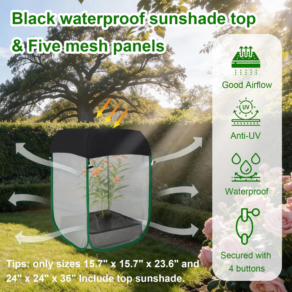Five-mesh-panel airflow and clear window for safe butterfly viewing