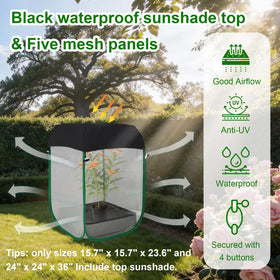 Five-mesh-panel airflow and clear window for safe butterfly viewing