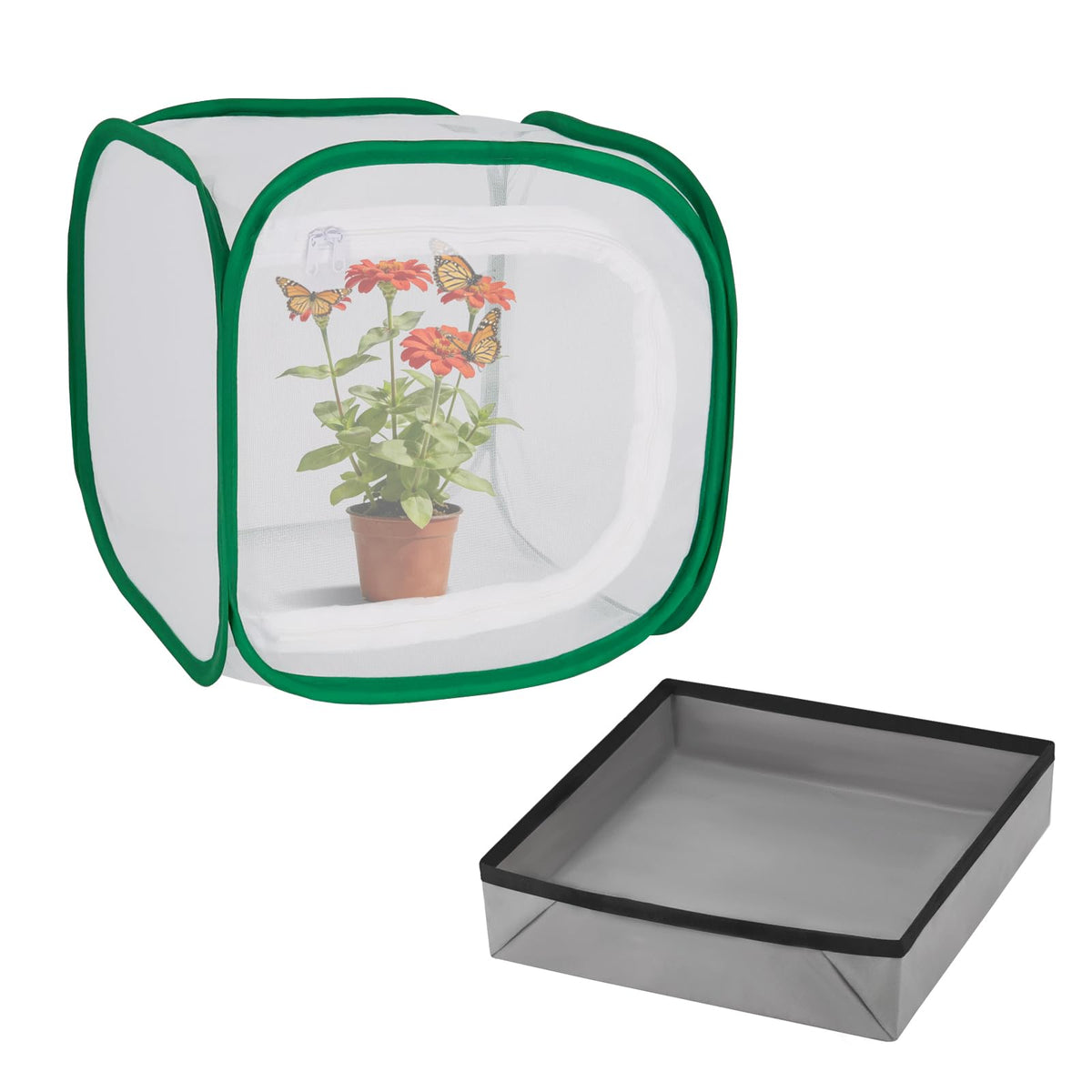 Cover Geny Butterfly Habitat Cage on a tabletop for home or classroom observation.