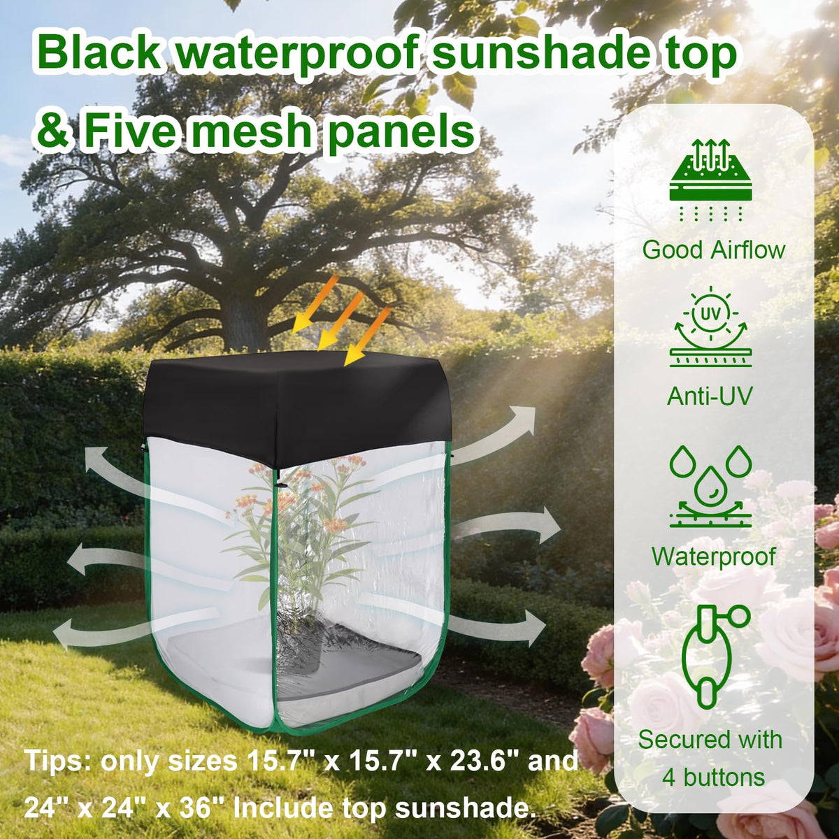 Cover Geny large caterpillar enclosure accommodates multiple plants and dozens of caterpillars.