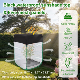 Cover Geny large caterpillar enclosure accommodates multiple plants and dozens of caterpillars.