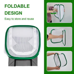 Cover Geny large garden cage accommodates multiple caterpillars and tall milkweed.