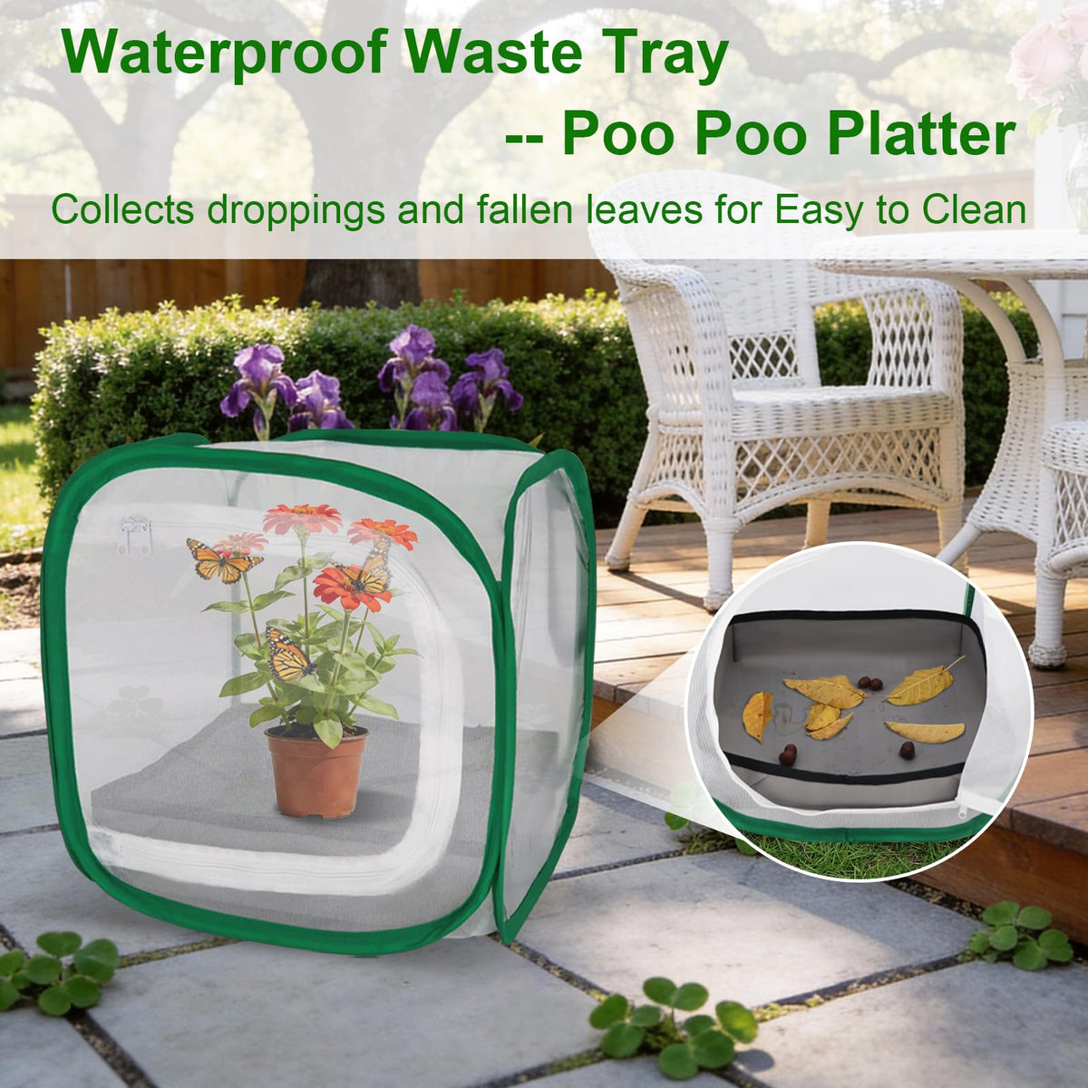 Cover Geny poop tray feature keeps enclosure clean during caterpillar care.