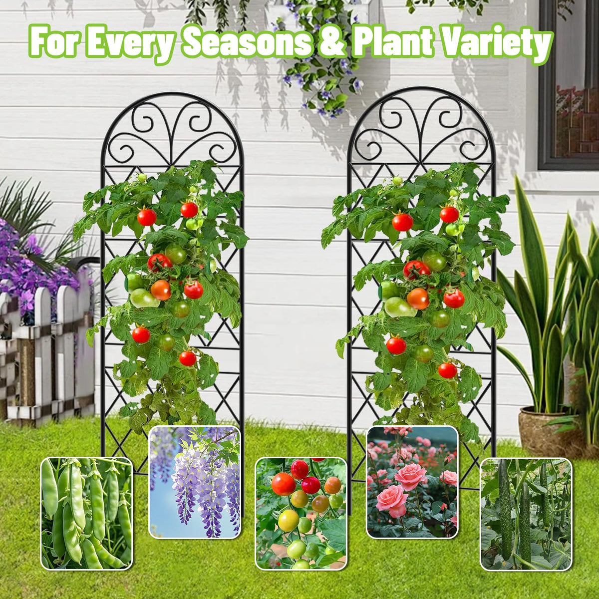 COZEER Garden Trellis suits indoor decorative vines with discreet support.