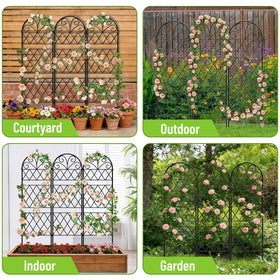 COZEER Garden Trellis in raised beds anchors climbing plants securely.