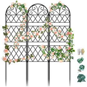 COZEER Garden Trellis with diamond grid supports roses for tidy vertical growth.