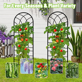 COZEER cucumber and vegetable support keeps vines organized