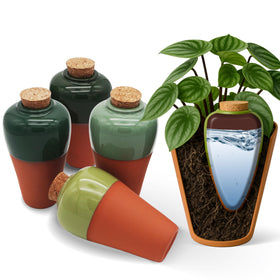 Cozy Chrysalis terracotta self-watering ollas set of four ready for easy plant hydration.
