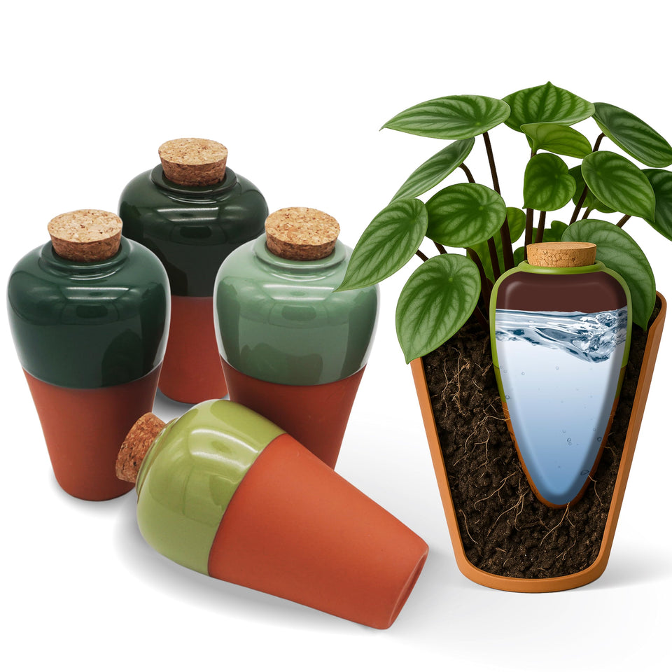 Cozy Chrysalis terracotta self-watering ollas set of four ready for easy plant hydration.