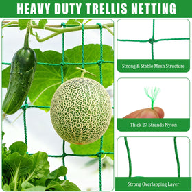 COZYDIG heavy-duty net provides durable support for cucumbers and tomatoes.