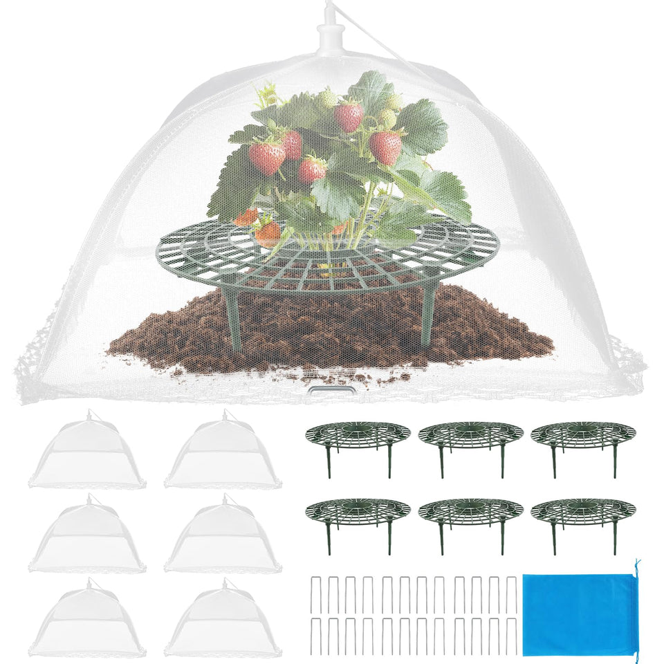 COZYDIG strawberry frame setup supports growing berries with organized structure