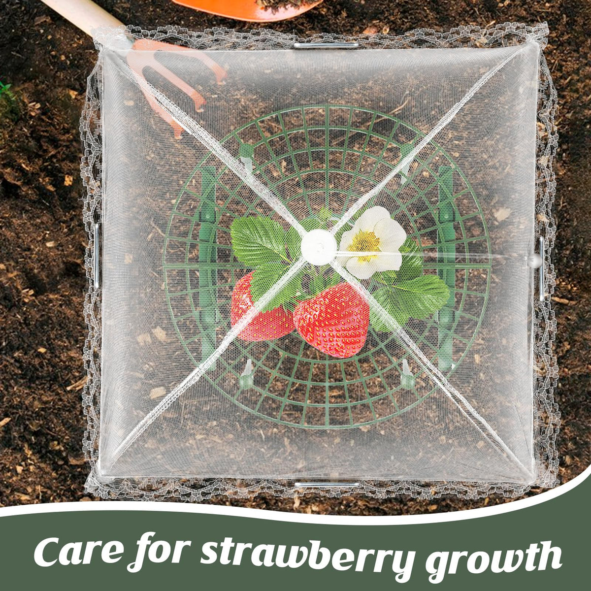 COZYDIG assembly-ready strawberry growing system for easy upgrades