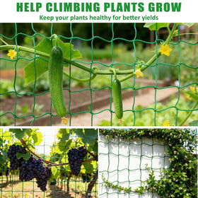 COZYDIG tomato trellis improves airflow and vertical growth for healthy vines.