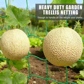 COZYDIG vertical garden net ideal for space-saving wall gardens.