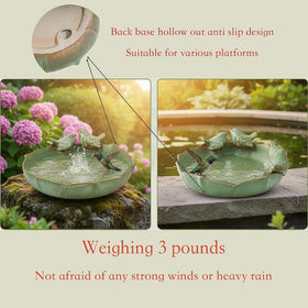CPWWSXPG bird bath used as planter adds natural greenery to outdoor space.