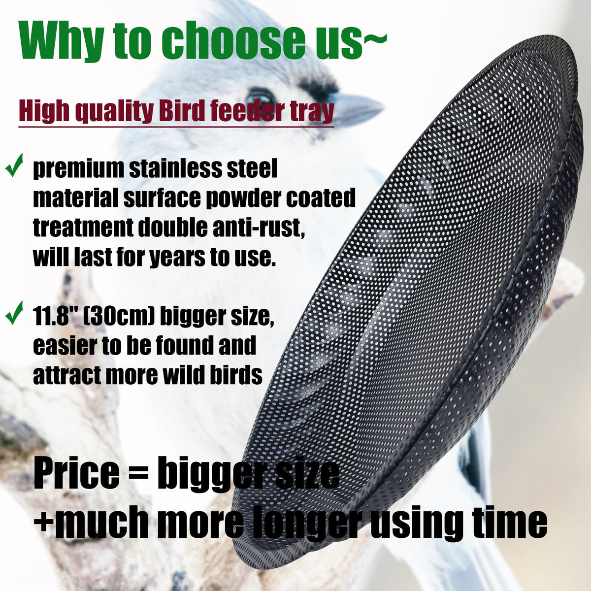 CQAIRIOU backyard bird view with feeder enhances garden wildlife watching