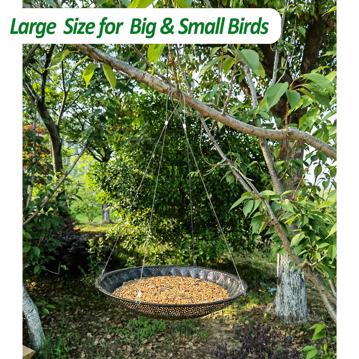 CQAIRIOU four-rope hanging system keeps the tray stable when birds perch