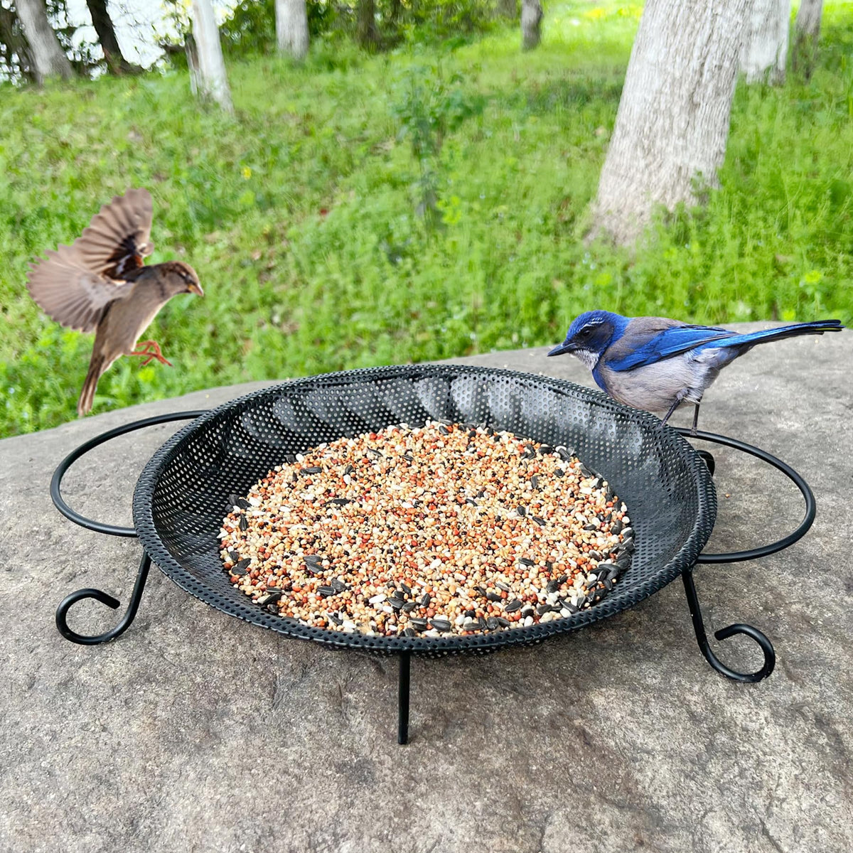 CQAIRIOU ground platform bird feeder tray in a garden enhances birdwatching