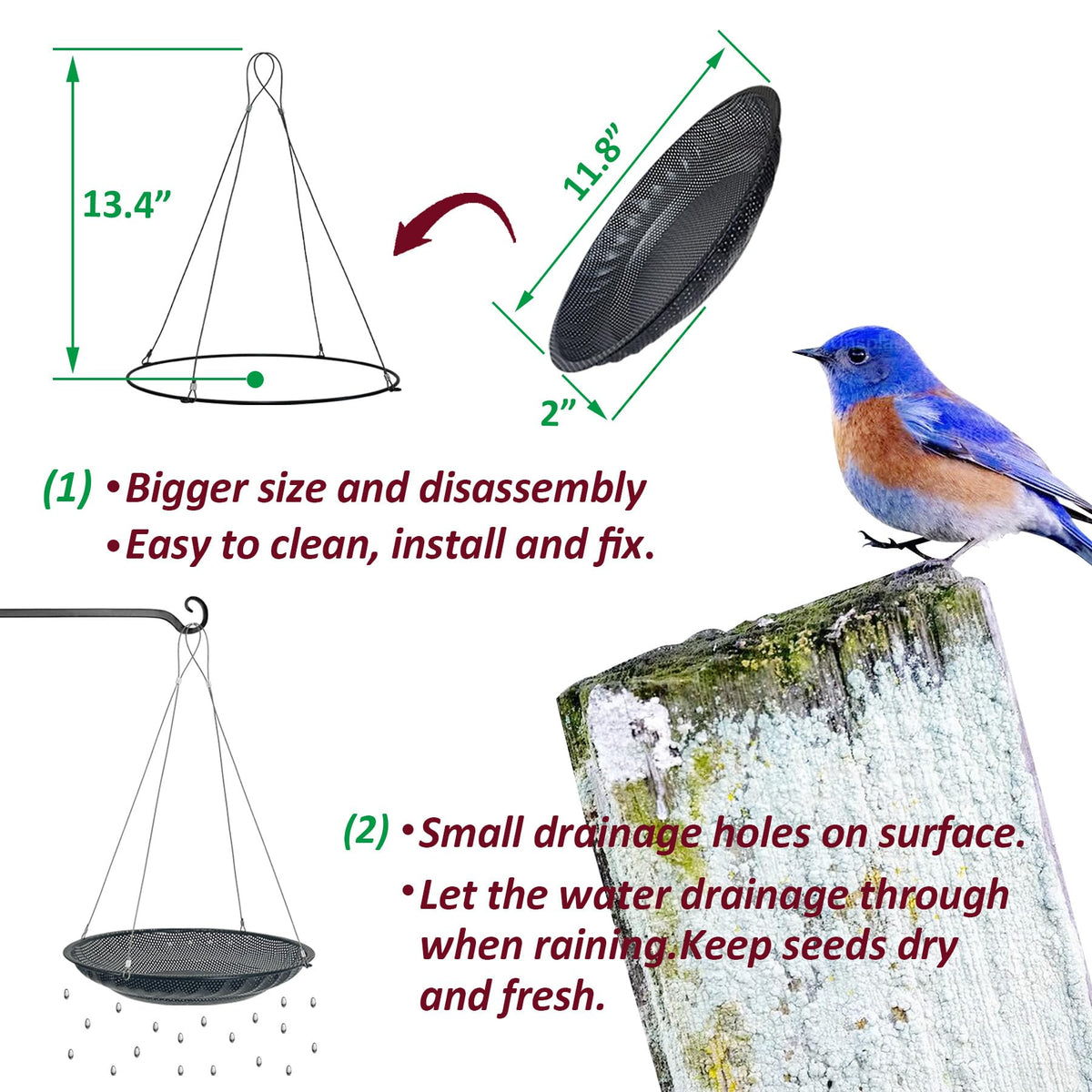 CQAIRIOU stainless steel seed tray for backyard use keeps seeds dry and fresh