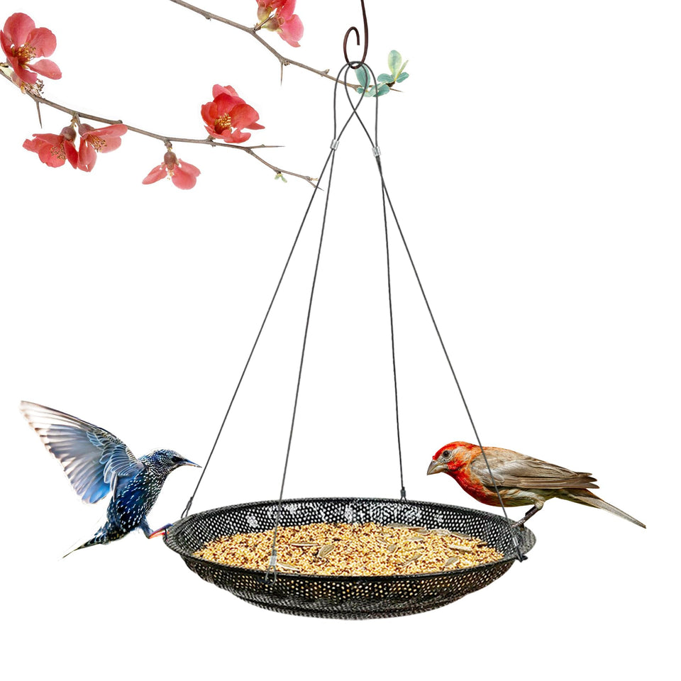 CQAIRIOU upgraded hanging bird feeder tray 11.8 inches attracts wild birds in your yard