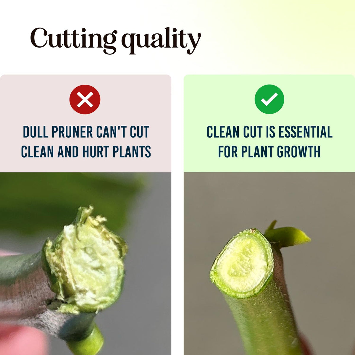 Craft911 dual-size opening hedge clipper ideal for small to thick branches