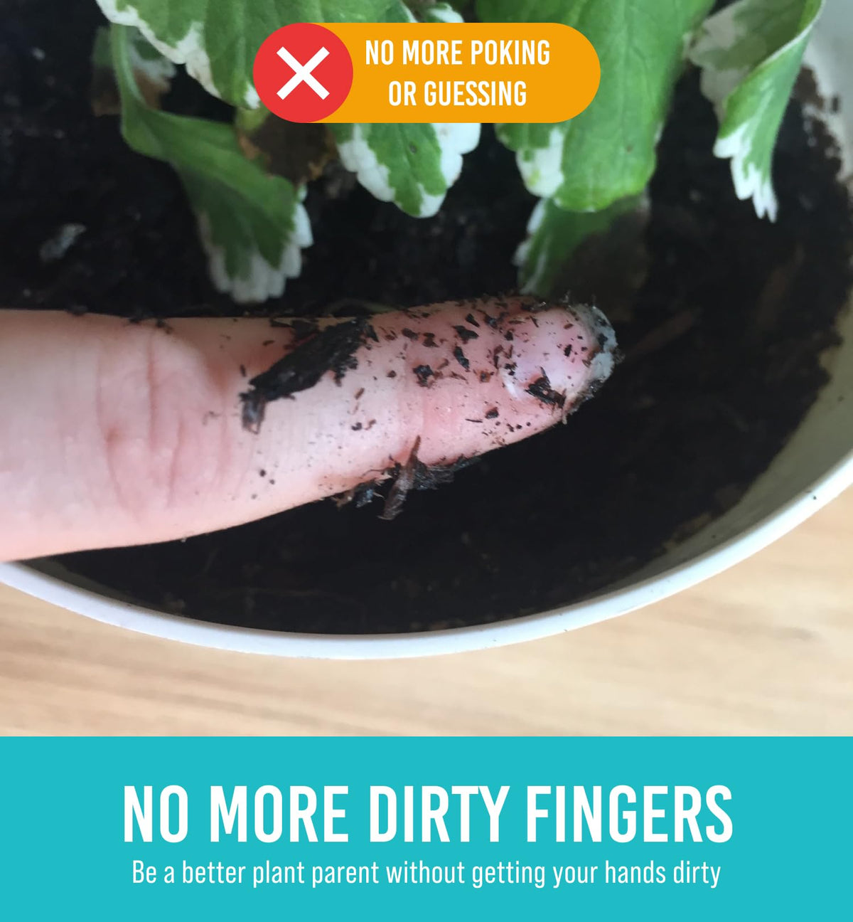 Easy-to-use setup in a pot for busy home gardeners.