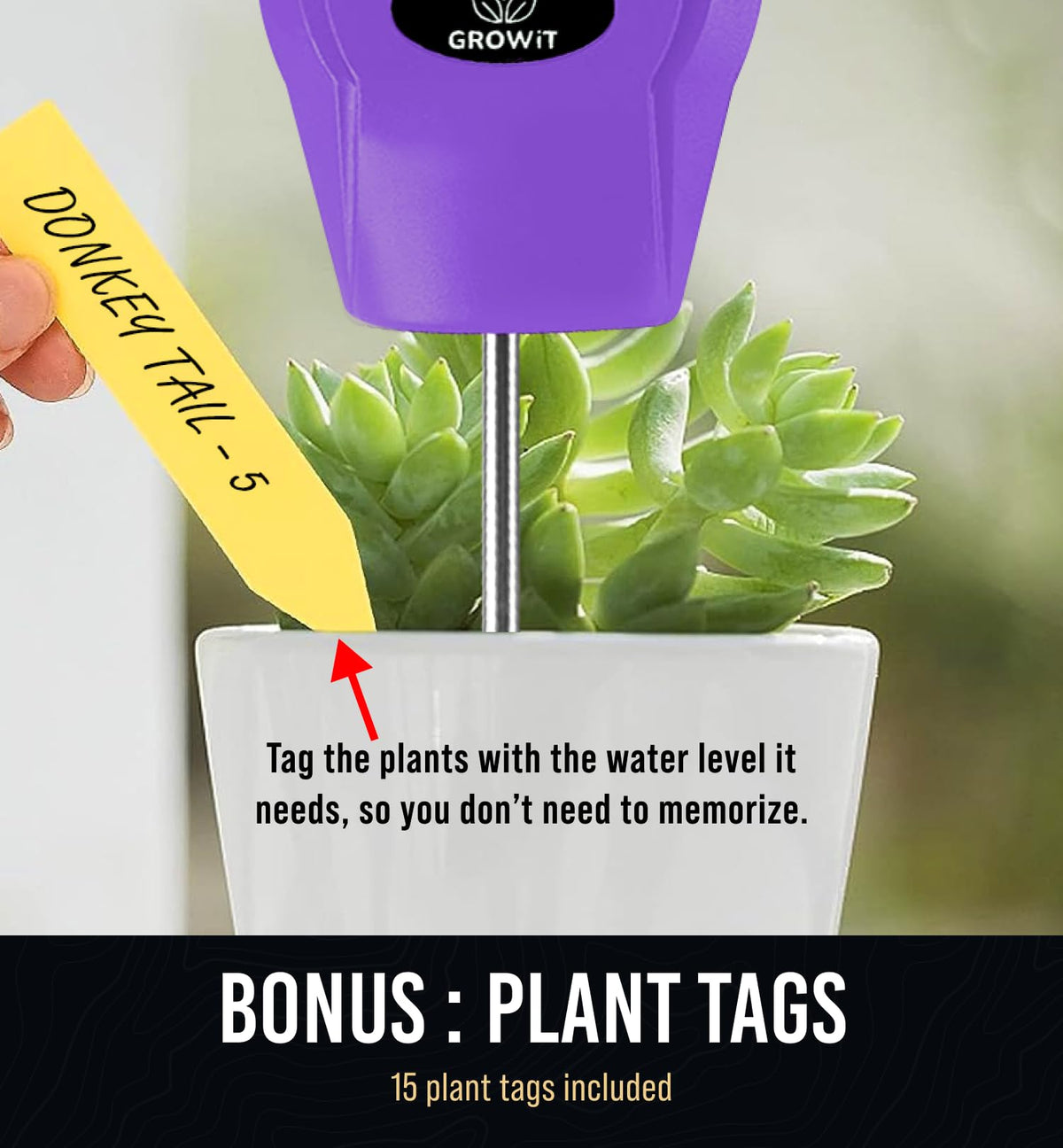 Indoor garden setup using Craft911 GROWIT for houseplants and pots
