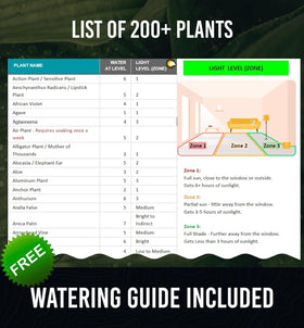 Outdoor garden use of GROWIT moisture meter across lawn and beds