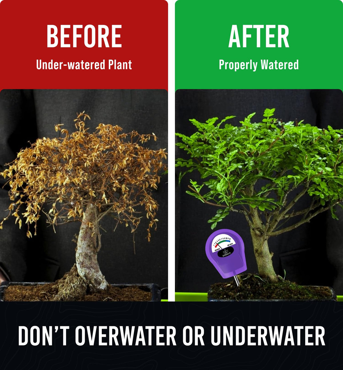 GROWIT meter used with potted plants to prevent overwatering