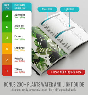 Soil moisture reading example shown on a plant pot.