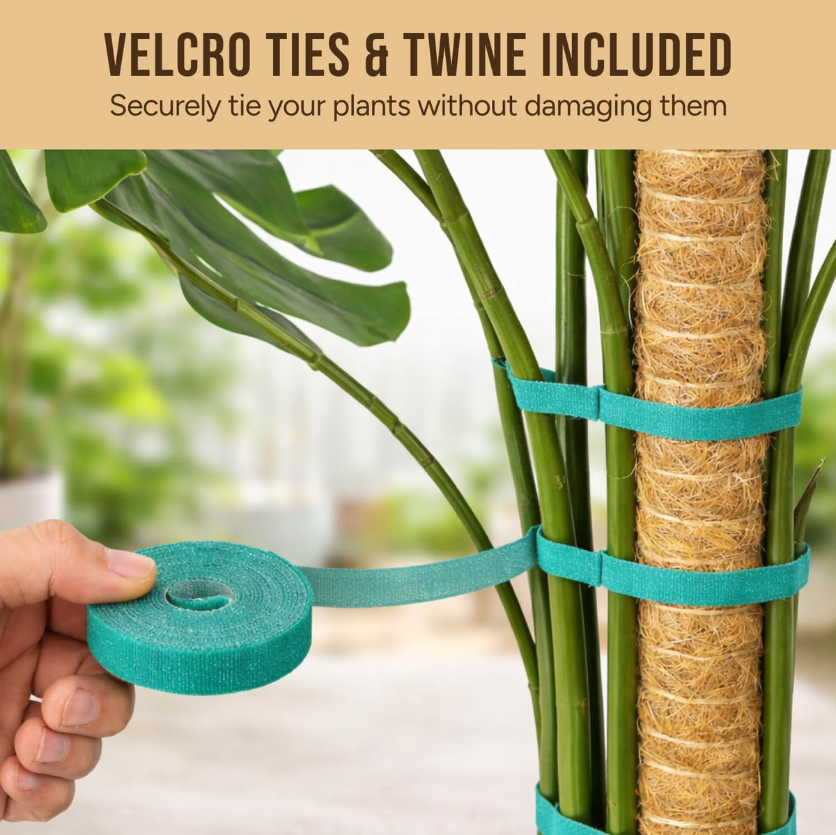 Craft911 moss pole wrapped in coco coir mimics tree bark for root attachment.