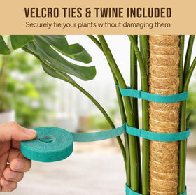 Craft911 moss pole wrapped in coco coir mimics tree bark for root attachment.