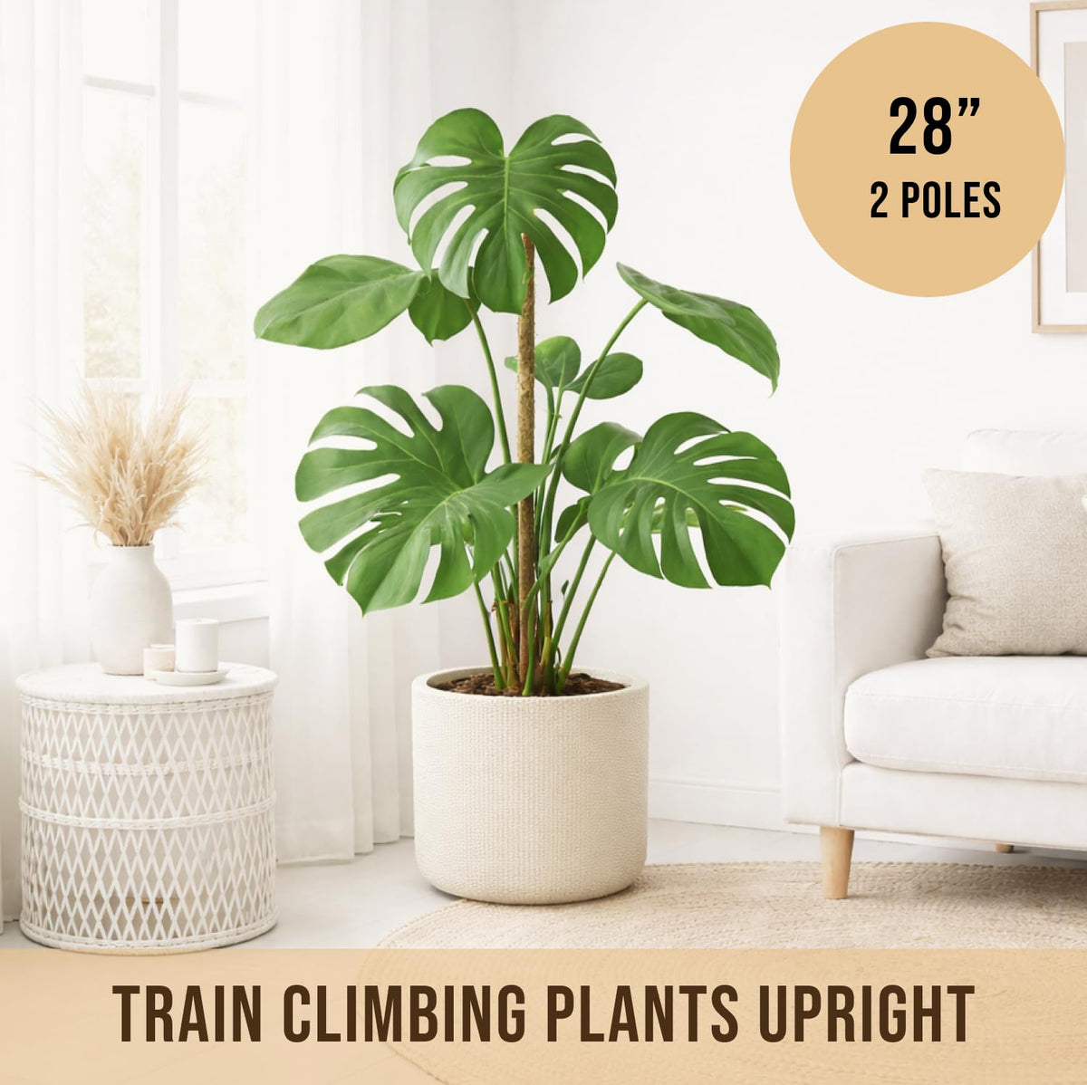 Craft911 moss pole is dry-use friendly, with misting optional for humidity.
