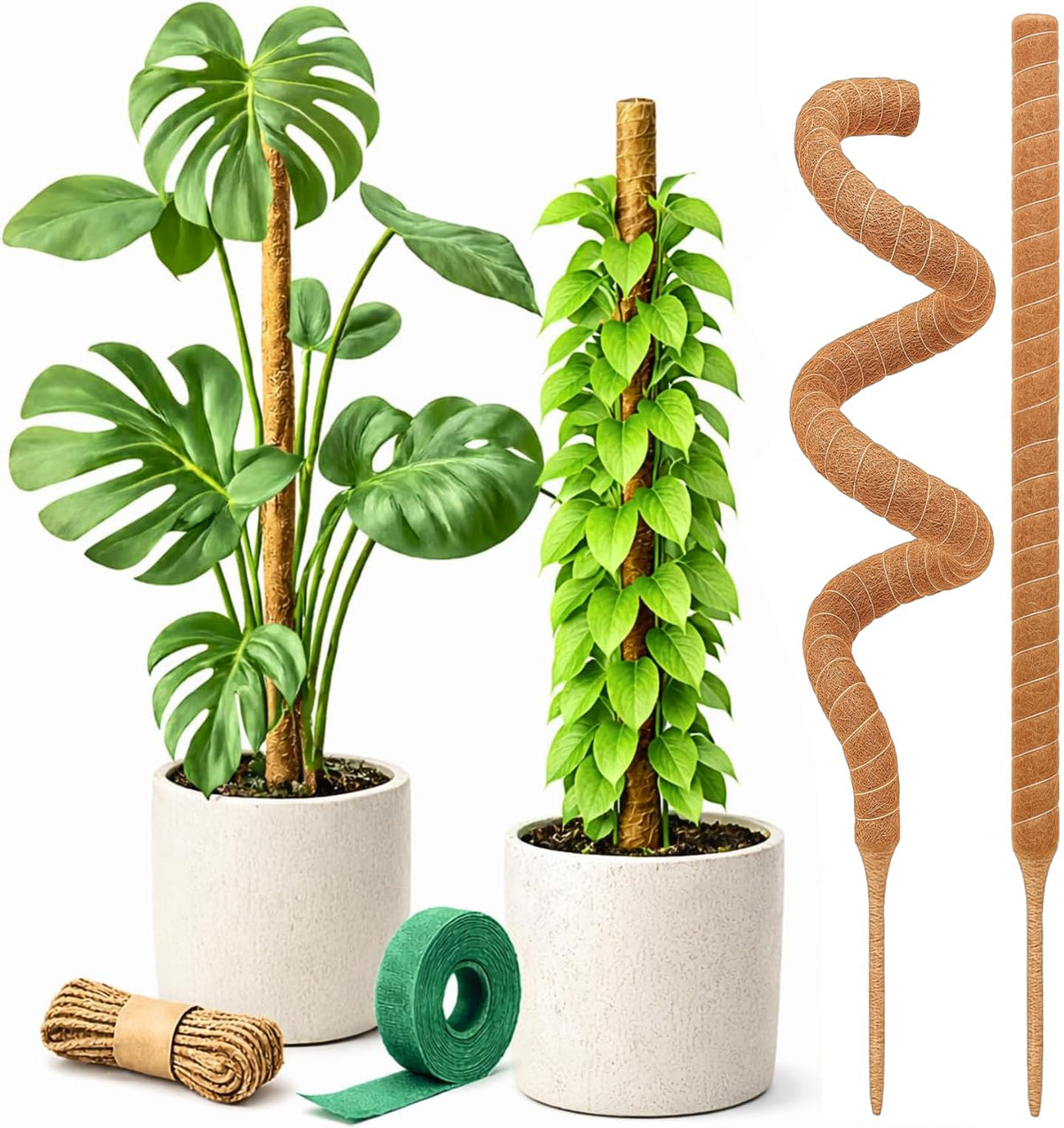 Craft911 moss pole monstera 28in providing sturdy climbing support for Monstera plants.
