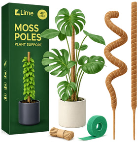 Craft911 moss pole for Monstera with 48-inch bendable core supports natural climbing growth