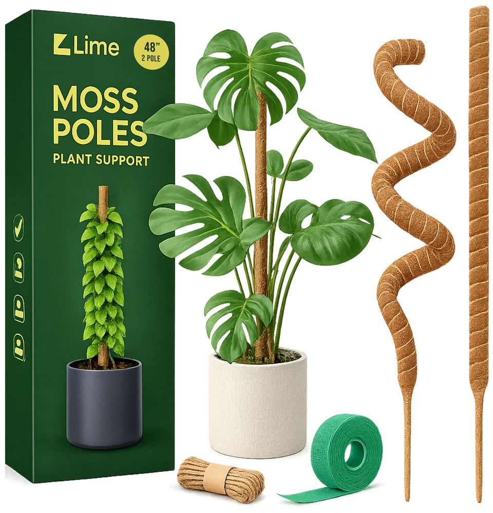 Craft911 moss pole for Monstera with 48-inch bendable core supports natural climbing growth