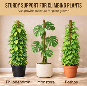 Craft911 plant stake setup shows easy insertion and plant tying with Velcro straps.