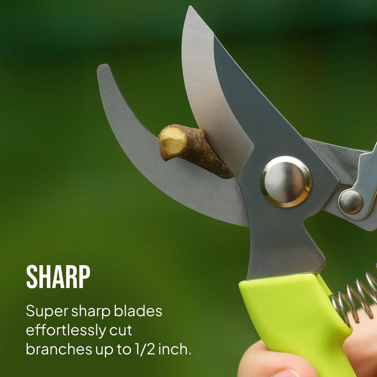 Craft911 rust proof stainless steel gardening shears withstand outdoor conditions