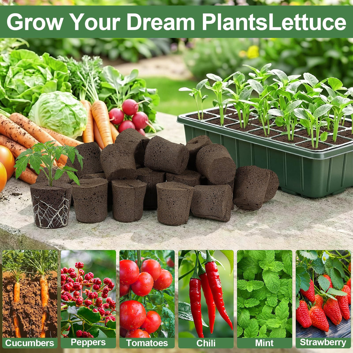 CrazyTerra Indoor Garden Propagation Kit: compact setup for herbs, veg, and flowers.