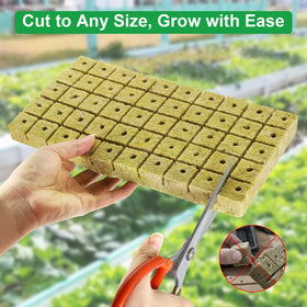 CrazyTerra Rockwool Cubes 1 Inch moisture-absorption close-up shows rapid water uptake and airflow balance