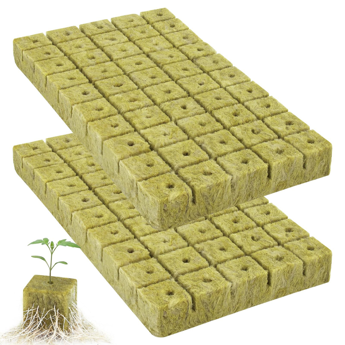 CrazyTerra Rockwool Cubes 1 Inch unboxing view highlights compact packaging for easy setup