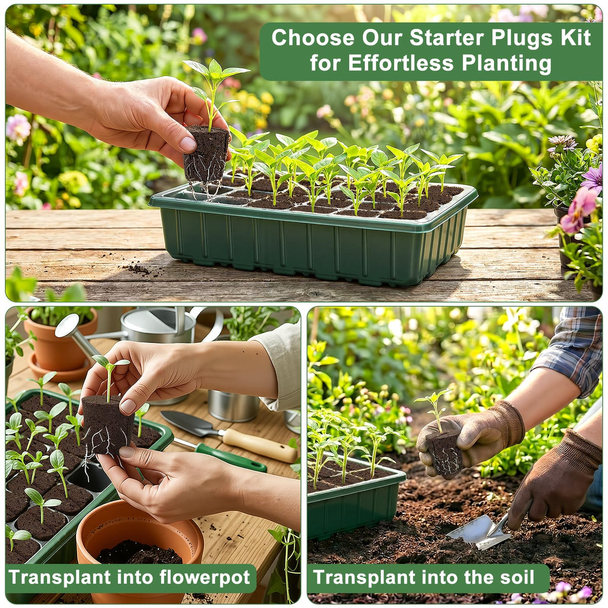 CrazyTerra Soft Rooter Pods: protect roots during transplant for smoother growth.