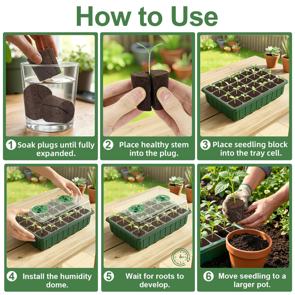 CrazyTerra Transplant Ready Rooter: ease movement from sponge to soil.