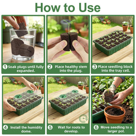 CrazyTerra Transplant Ready Rooter: ease movement from sponge to soil.