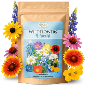 Created By Nature all-perennial seeds pack front view with long-lasting blooms