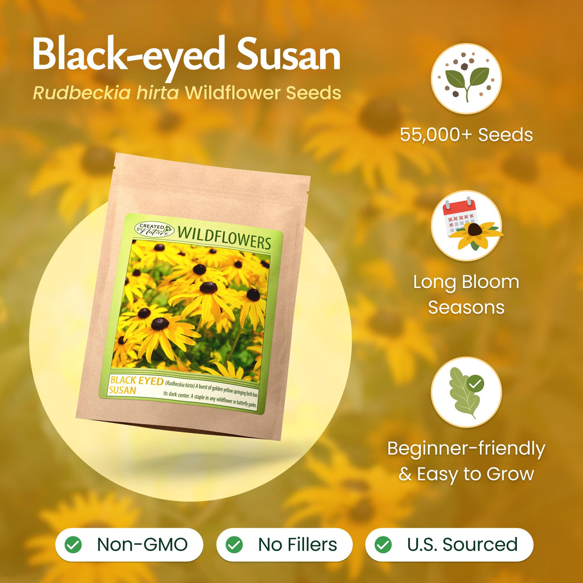 Created By Nature Black-Eyed Susan seeds germinating in a sunny bed with bright color.